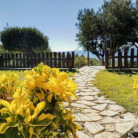 Bed And Breakfast Nefer Maratea Luaran gambar